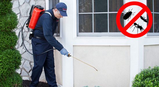 Çiftlikköy Fare İlaçlama böcek ilaçlama ve haşere kontrolü — ilaclama-tr.com